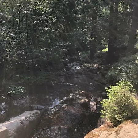 Wurmberg Baude 1 * Braunlage