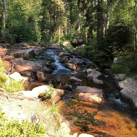 Wurmberg Baude 1 Apartment