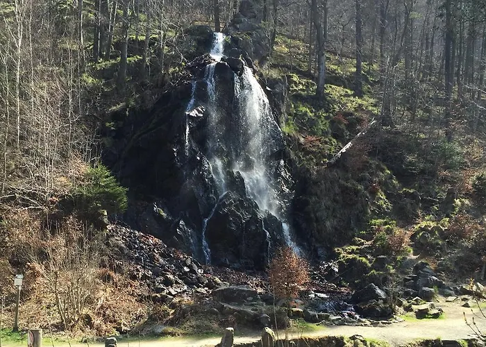 Daire Wurmberg Baude 1