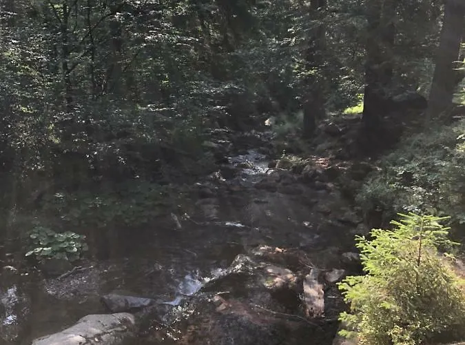 Wurmberg Baude 1 * Braunlage