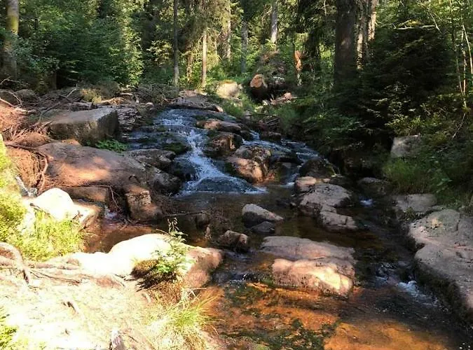 Wurmberg Baude 1 Daire